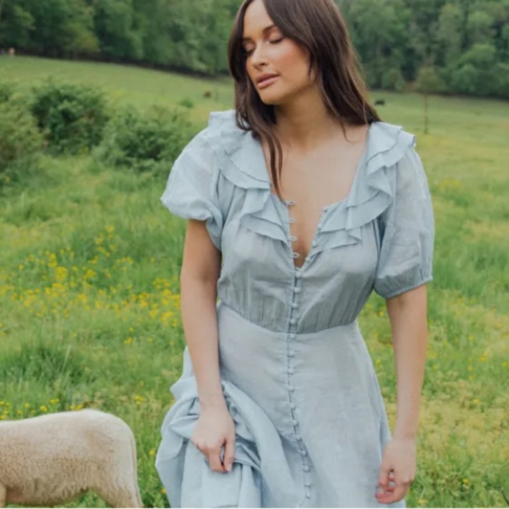 THE GREAT BLUE DRESS